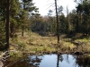 Looking back at Cropsey Pond